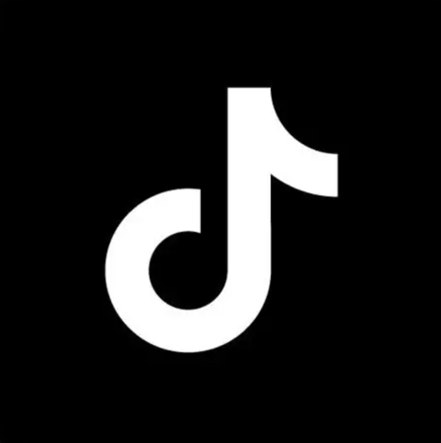TikTok Logo